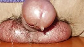 الشقراوات مثليات تدع ...
