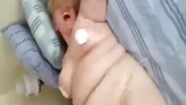 أربعة اغصان يمارس ال ...