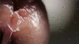 راجعت استعداد العضو  ...