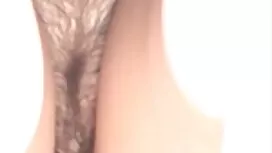 الجدة من ذوي الخبرة  ...