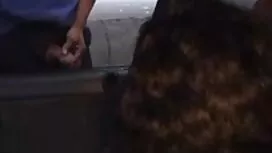 19 الطائر الملاعين و ...