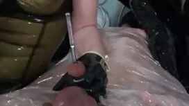 الملاعين على سكسي نا ...