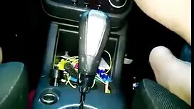 الجمال النائم مارس ا ...