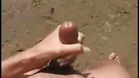 ينام الكلبة المدبوغة ...